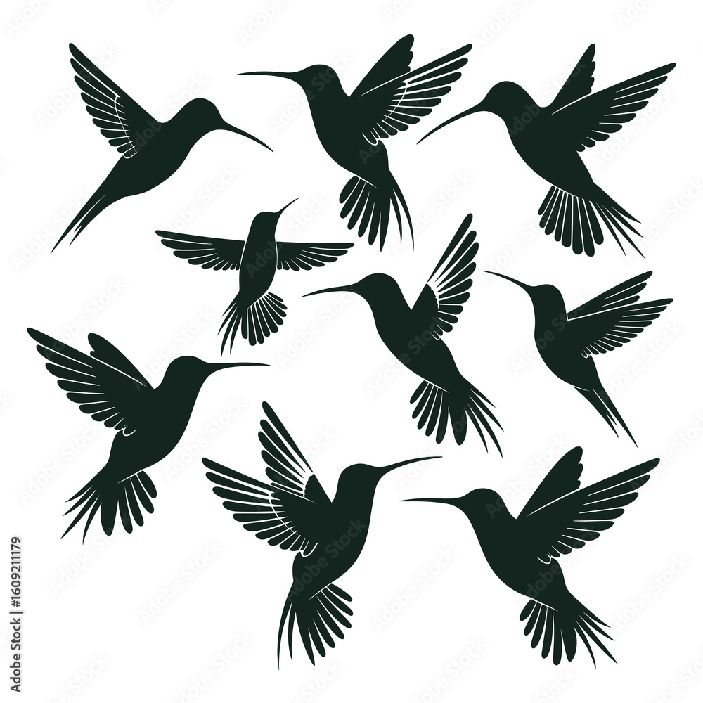 Fototapeta premium A collection of dark green hummingbird silhouettes in flight