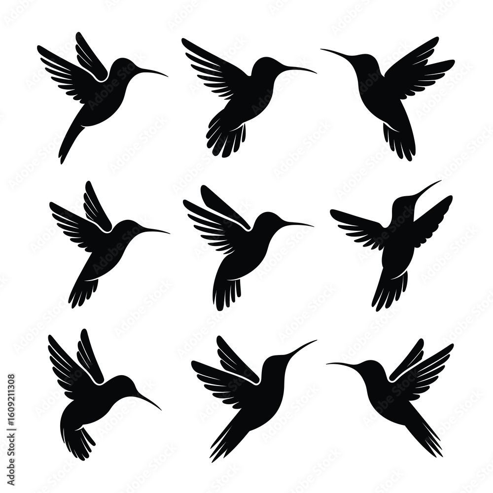 Obraz premium Black Hummingbird Silhouettes in Flight flying wings