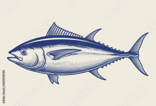 Tuna fish side view. Vintage woodcut engraving style vector illustration.