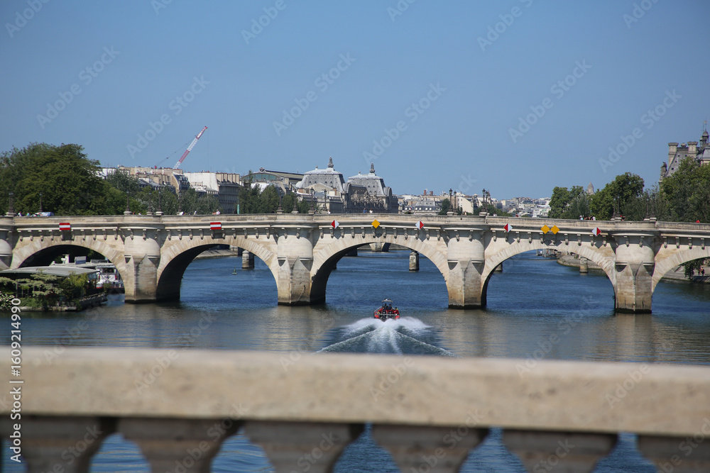 Naklejka premium Vue du Pont-Neuf à Paris et Seine