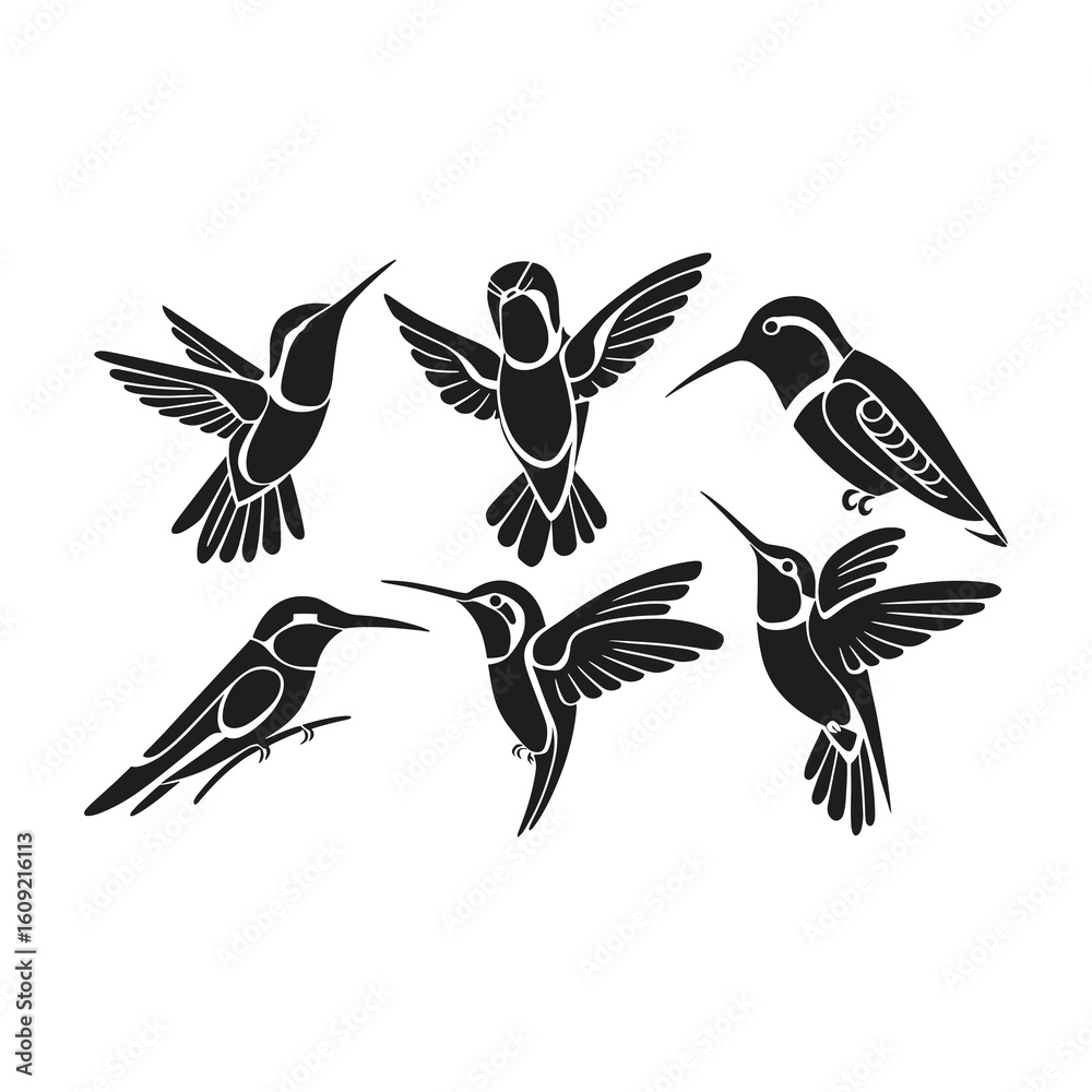 Obraz premium Six stylized black hummingbirds in flight and perched 2