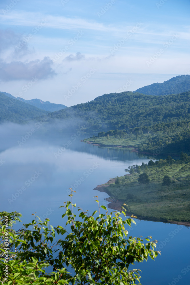 Fototapeta premium 群馬県野反湖の夏景色 - 豊かな緑と湖面が織りなす絶景