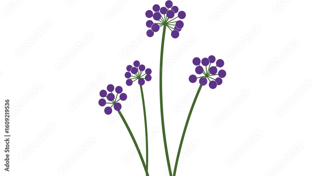 Obraz premium Minimalist Vector Illustration of Purple Spherical Flowers on Green Stems, Isolated on White