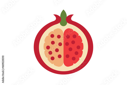 Pomegranate Cross Section Showing Seeds Vector On White
