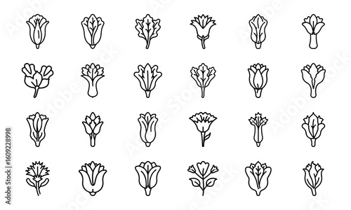 Bundle Chicory Bloom Icon Silhouettes Style White Background
