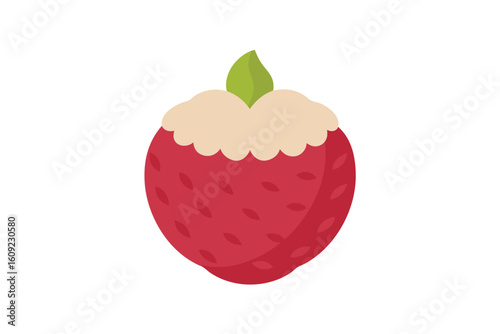 Lychee Fruit Peeled With Texture Flat Vector On White Background