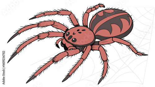 Cartoon Spider on Web Background with Red and Black Patterns