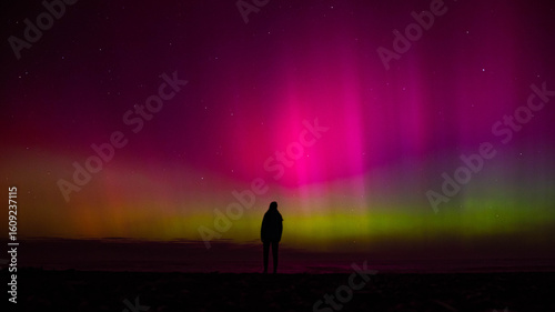 Quadro su tela Silhouette of girl gazing at sky lit up by vibrant pink and green southern lights, Aurora australis, on beach near Christchurch, Canterbury, South Island, New Zealand