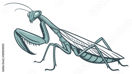 Stylized Green Praying Mantis Cartoon Vector Illustration. Detailed Insect Art Isolated on White Background.