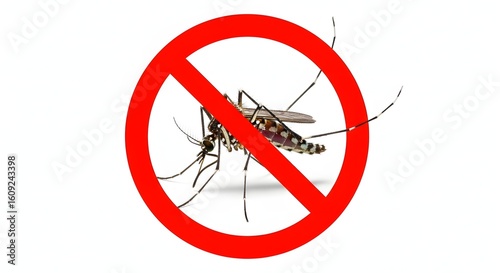 Mosquito with a red prohibition sign over it, symbolizing mosquito control and prevention.