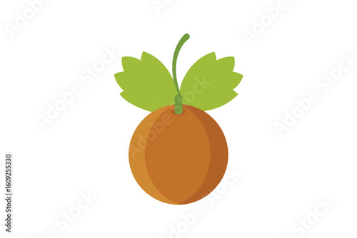 Cartoon Gooseberry Fruit With Leaves On White