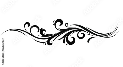 Elegant black swirl flourish ornament, a classic decorative divider with calligraphic curls and lines on a white background.