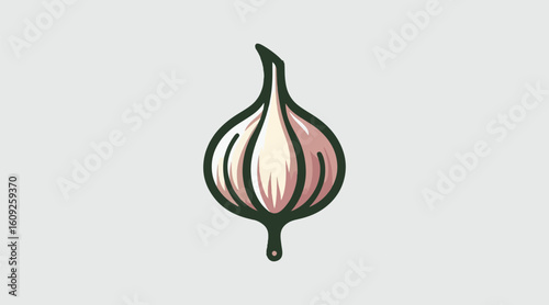 Garlic vector an Illustration design