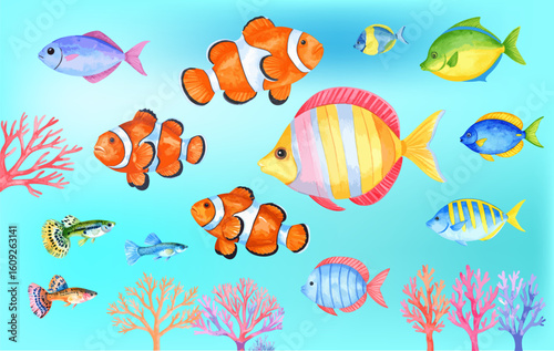 Cute tropical fish swimming