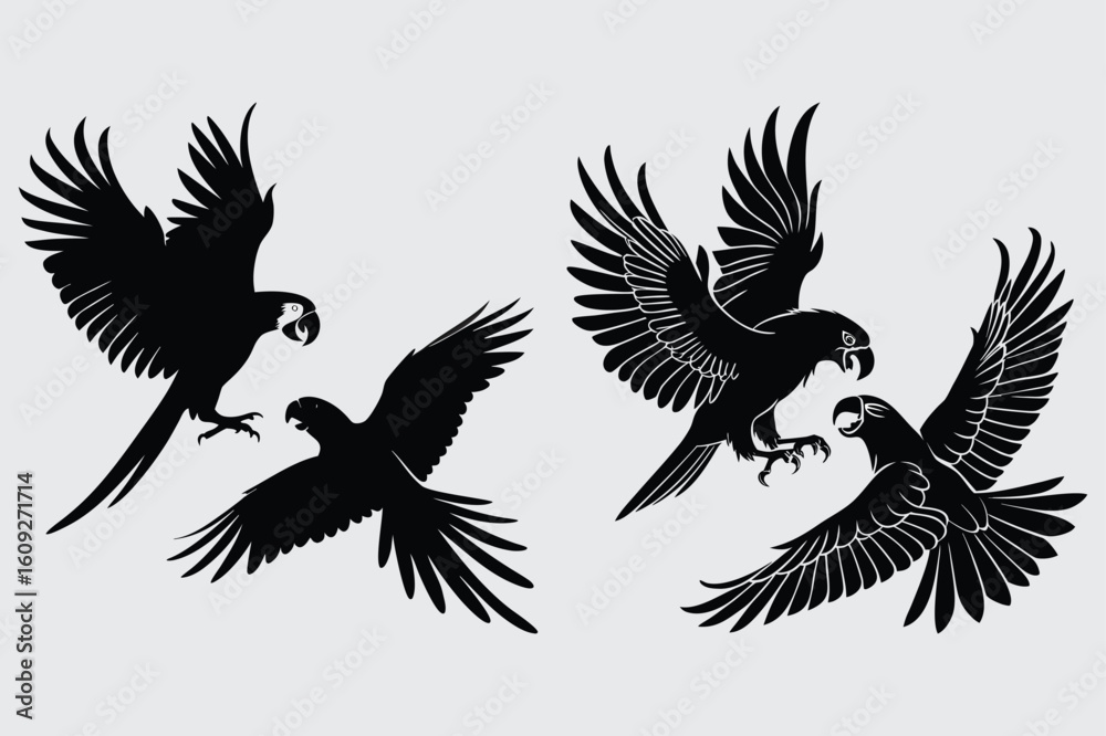 Fototapeta premium Parrots flapping wings aggressively at each other image silhouette design vector art and illustration