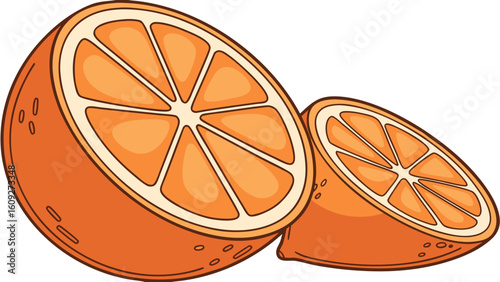 Fresh orange fruit slices vector illustration juicy citrus fruit healthy food vitamin c rich fruit orange halves