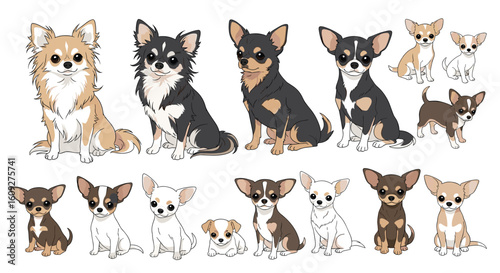 Collection of adorable chihuahua dogs in various colors and poses perfect for pet lovers and designers