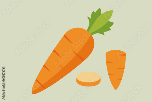 carrot vector illustration