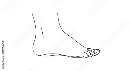 Understanding the human foot anatomy and its biomechanical functions during gait analysis and support