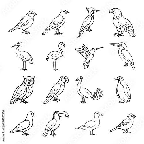 Canvas Print Collection of diverse bird illustrations in a clean outline style