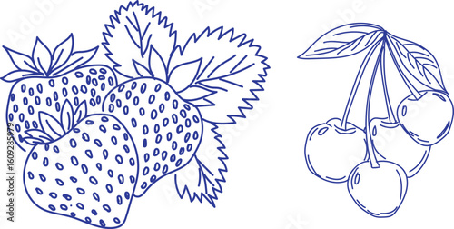 hand drawn strawberry and cherry Fruit icon illustration set. ink Outline style strawberry and cheery fruit icons isolated on a white background.