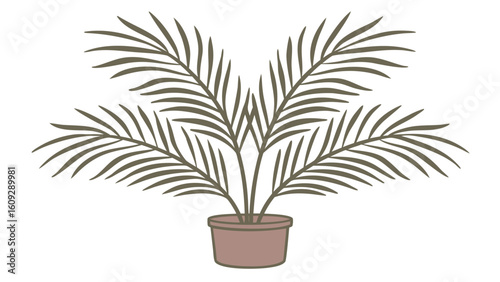 Minimalist flat illustration of a potted palm plant with brown pot vector