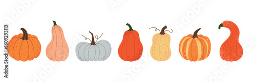 Autumn pumpkins set with different squash shapes and colors. Decorative fall vegetables with textured skins. Seasonal farm harvest. Flat vector illustration isolated on white background.