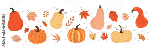 Fall pumpkin and autumn leaves banner. Collection of seasonal vegetables and foliage for Thanksgiving and harvest design. Cute composition. Flat vector illustration isolated on white background.