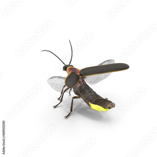 Glowing fireflies isolated on transparent background