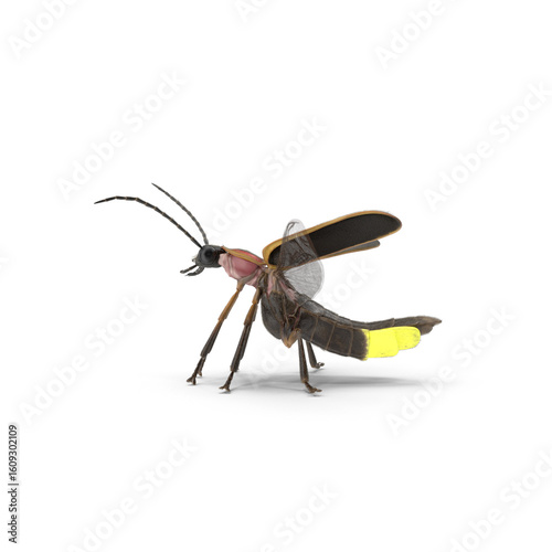 Glowing firefly side view