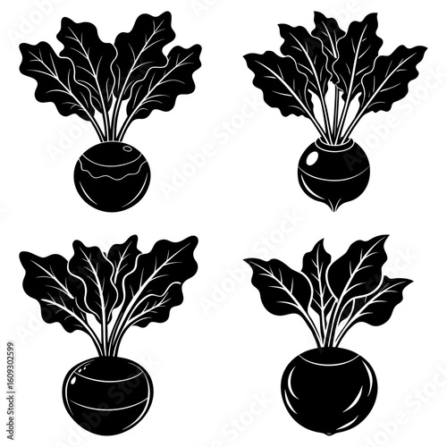 Four black and white vector illustrations of kohlrabi plants with detailed leaves and round bulbs isolated