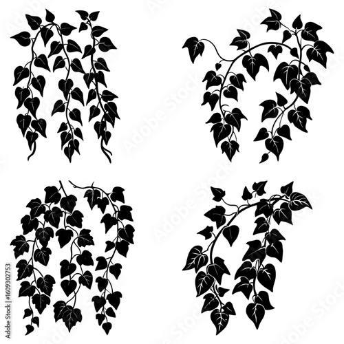 Four black and white ivy arrangements with leaves and vines in a graphic style on white background