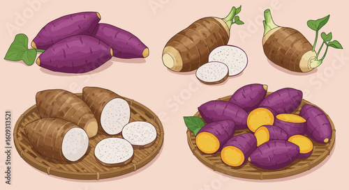 Flat Vector Illustration of Sliced Sweet Potatoes and Taro Roots on Woven Plate – Minimalist Botanical Food Art with Earthy Tubers and Creamy Interiors on Pink Beige Background
