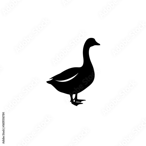 Black vector silhouette of a goose. Types of farm and wild birds, agriculture. Fauna and biodiversity