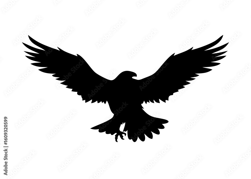 Obraz premium Black Eagle with Claws Spread Silhouette