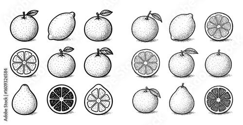 Citrus Fruits Icons