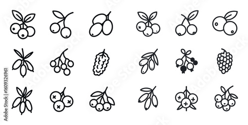 Superfood Berry Icons
