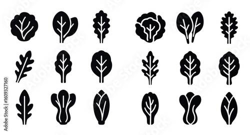 Leafy Greens Icons