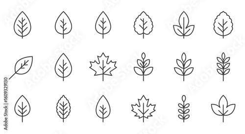 Minimal Leaf Icon Set – Flat Botanical Vector Silhouette Collection