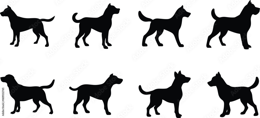 Obraz premium Set of Dog Silhouettes Vector in Standing Poses.