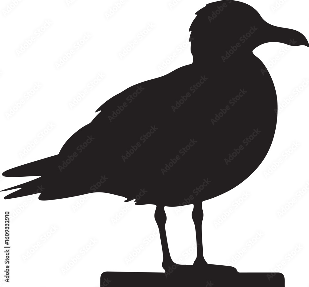 Fototapeta premium Minimalist Bird Shadow Set for DIY and Craft Use
