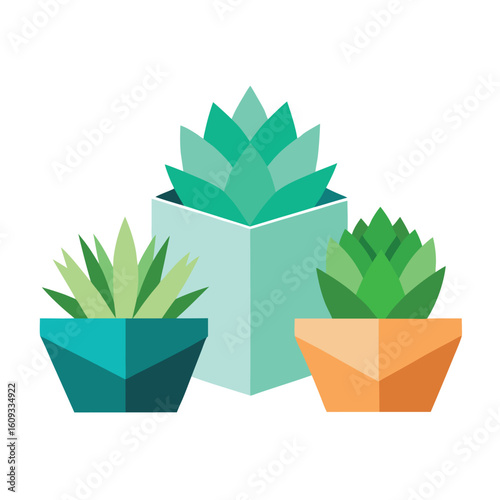 Modern geometric collection of minimalist succulent plants with clean lines and vibrant colors