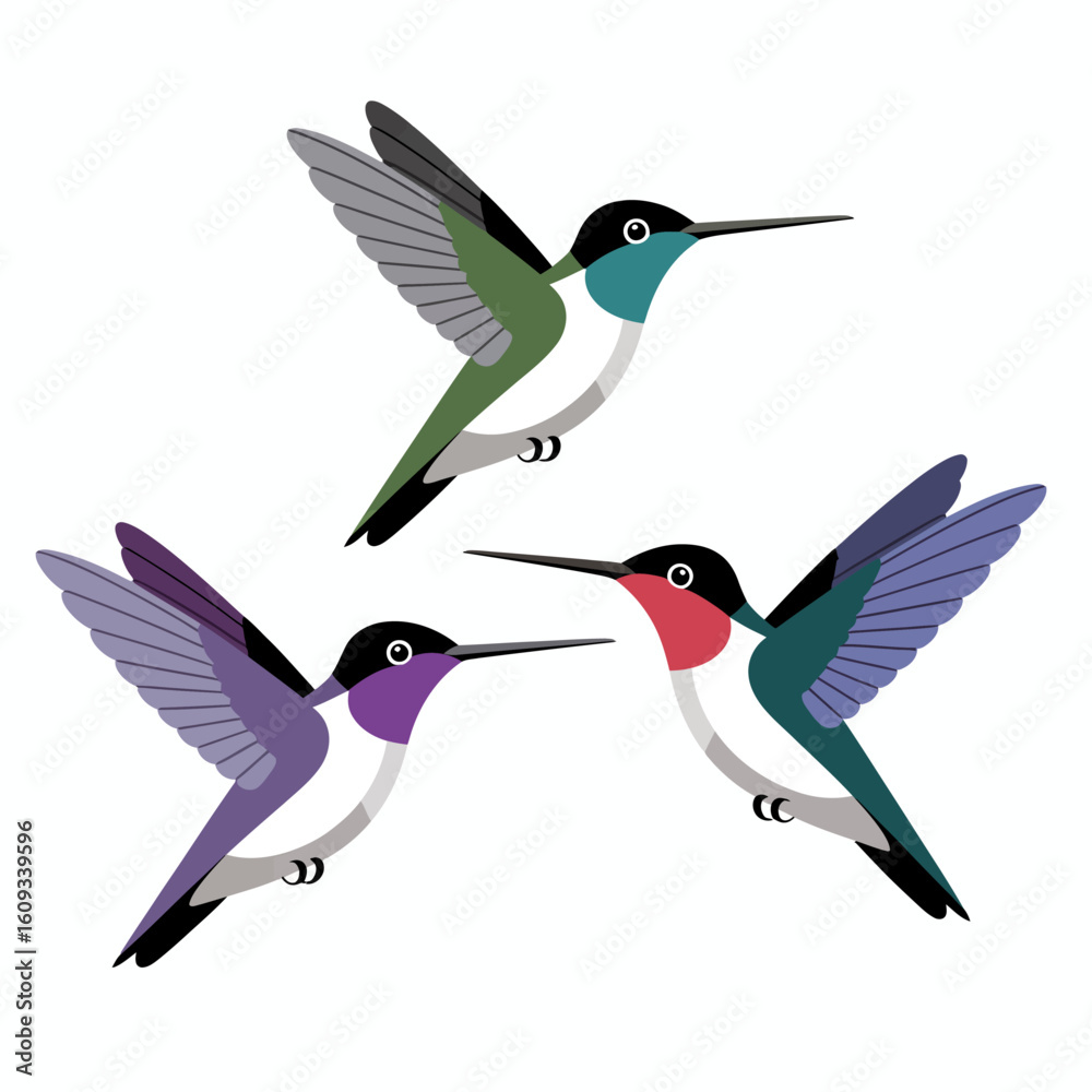 Obraz premium Three Hummingbirds in Flight Colorful Bird Illustration.