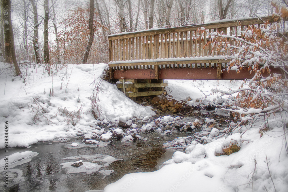 Obraz premium Winter Bridge