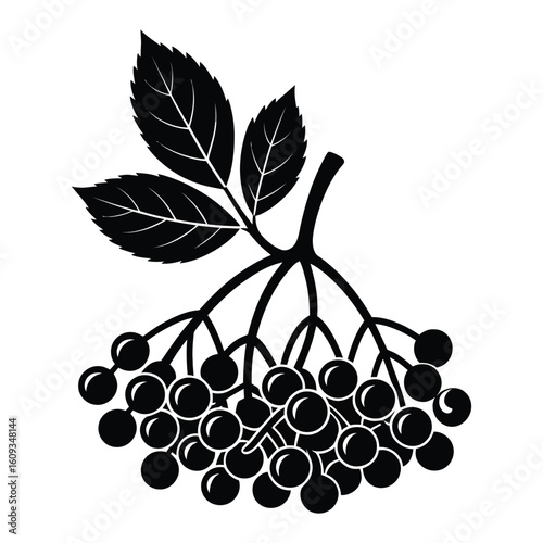 Black silhouette of a cluster of berries with leaves on a white background berry fruit