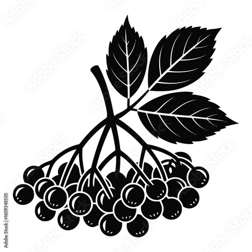 Black silhouette of a cluster of berries with leaves on white background berry fruit