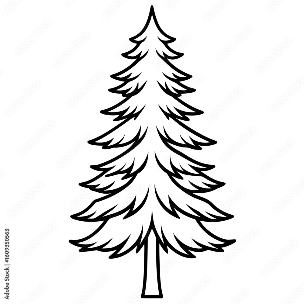 Obraz premium Single Evergreen Outline – Clean Vector