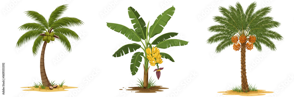 Fototapeta premium Set Tropical Palm Tree Illustrations for travel promotions, hospitality industry, and thematic designs to evoke a vacation atmosphere 