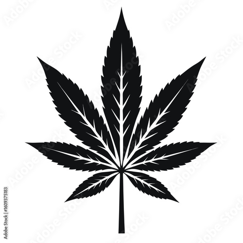 Cannabis Leaf Silhouette Illustration
