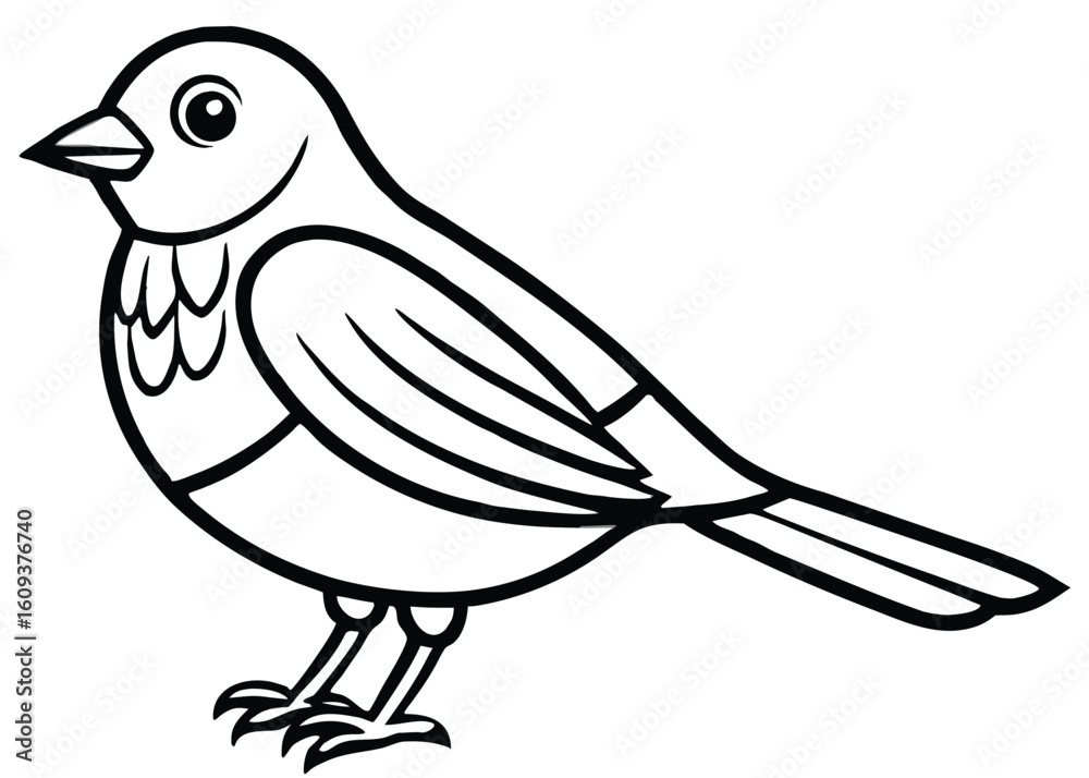 Fototapeta premium Cute Black and White Bird Drawing
